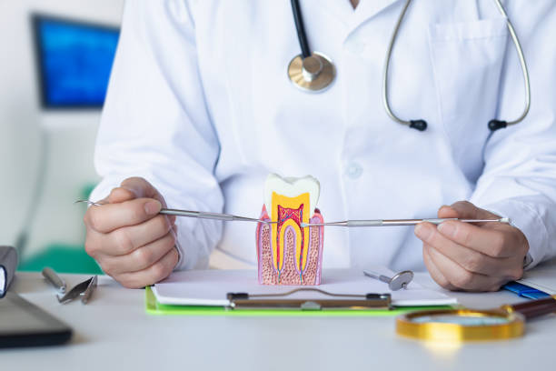 Best Emergency Dentist for Knocked-Out Tooth in Varnville, SC